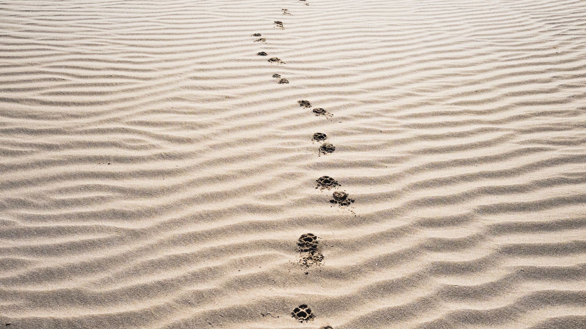3 Simple Ways to Form Your Life Around Jesus