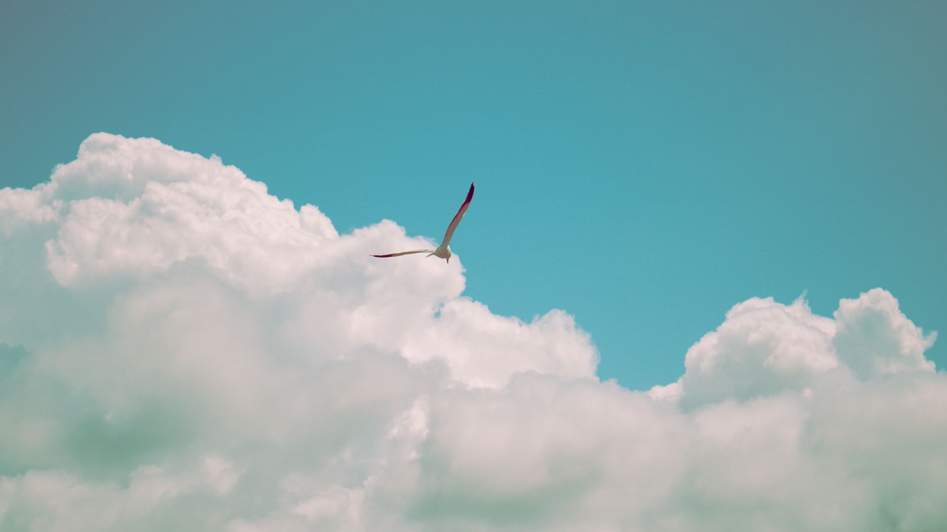 Prayer is Your Key to Freedom