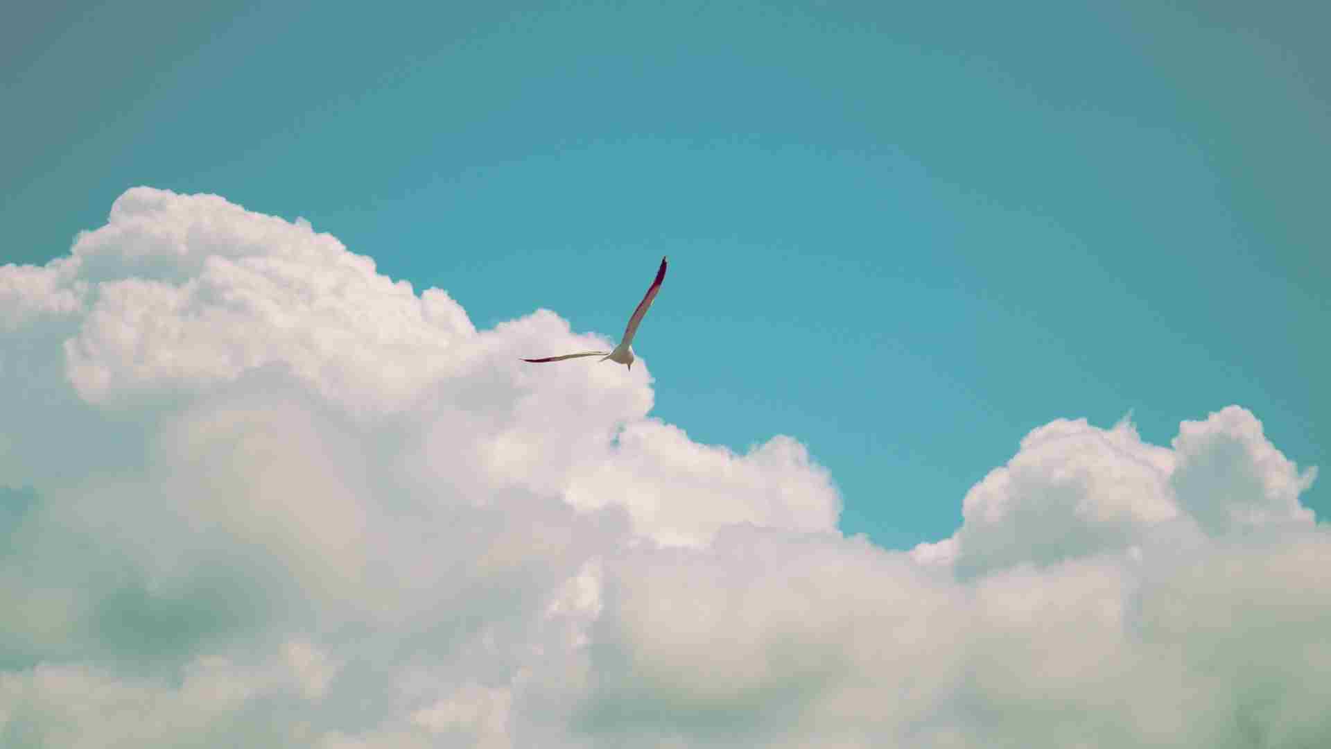 Prayer is Your Key to Freedom