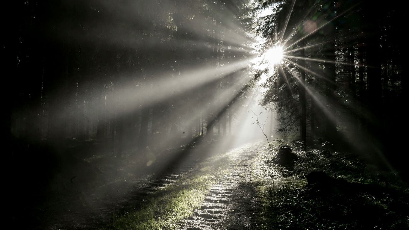 10 Verses to Memorize About Your Purpose