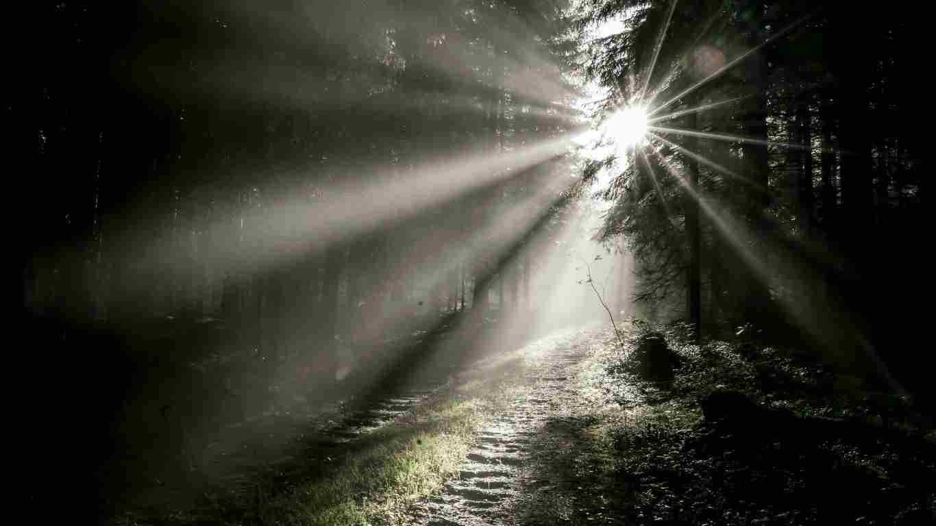 10 Verses to Memorize About Your Purpose