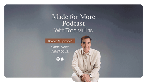 Author Article - Same Week, New Focus.