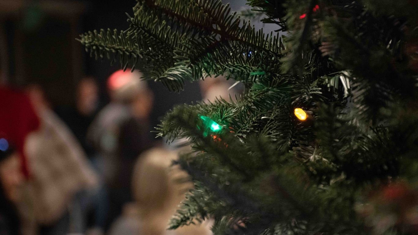 Declarations for All the Holiday Feels