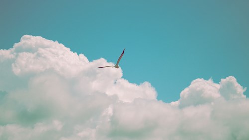 Author Article - La Oración es la Clave Para la Libertad