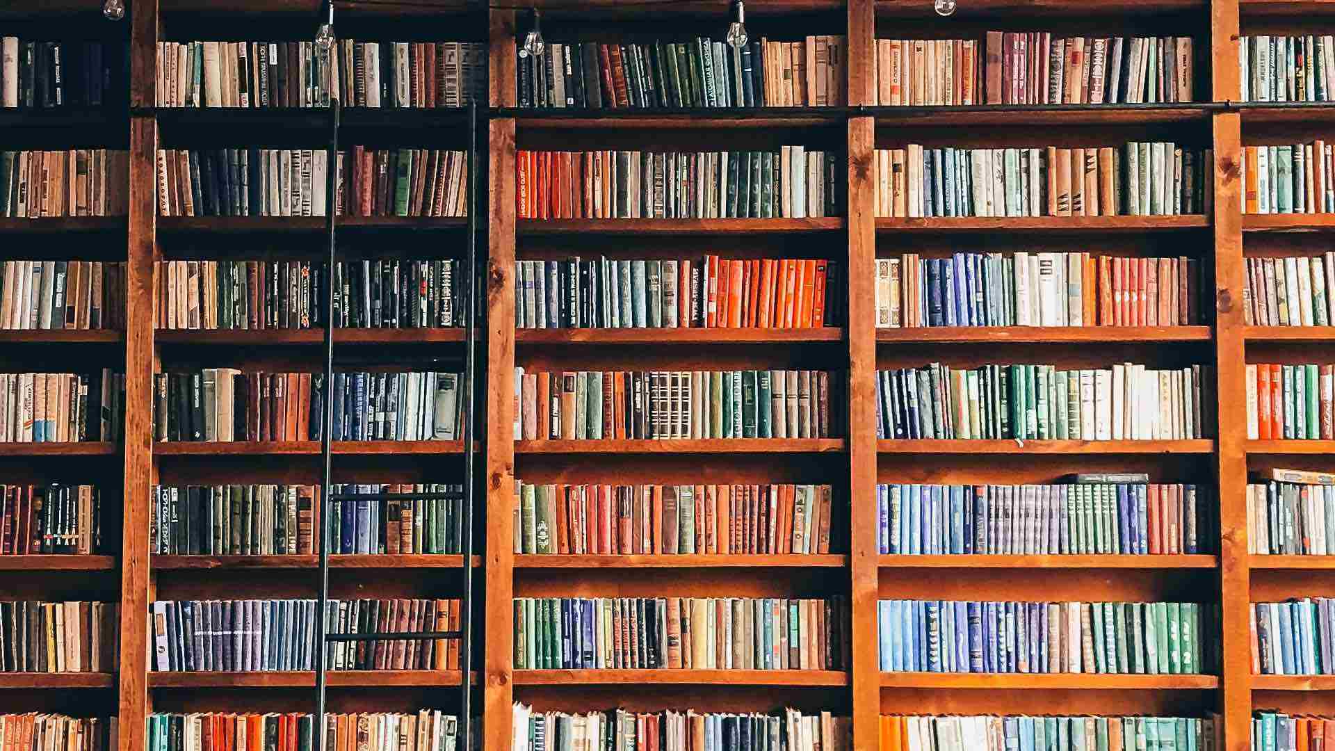 4 Books to Discover God’s Plan for Your Finances