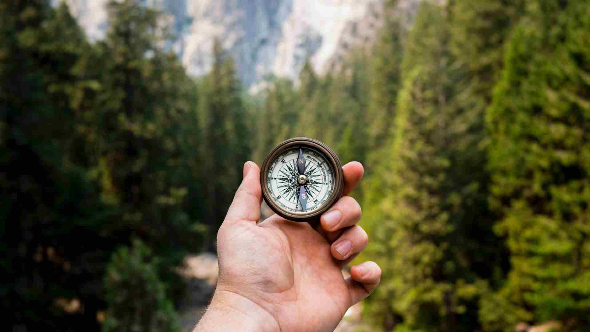 How to Discover Your Purpose