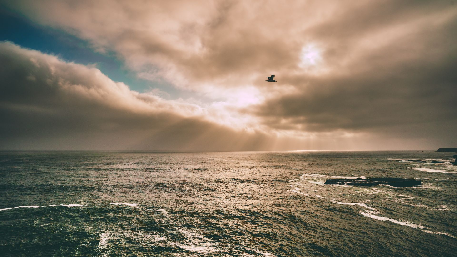 4 Ways to Reflect During Holy Week