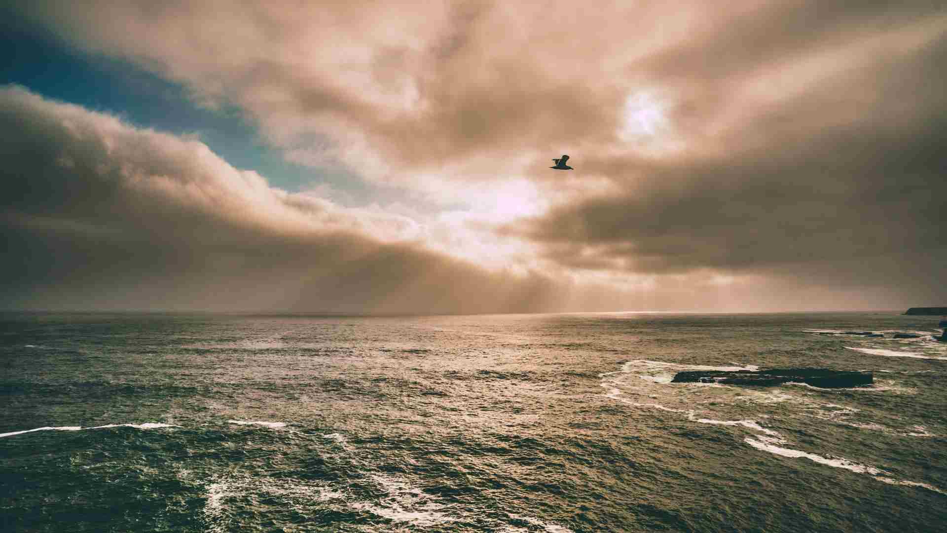 4 Ways to Reflect During Holy Week