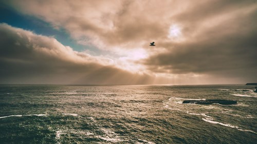 Author Article - 4 Ways to Reflect During Holy Week