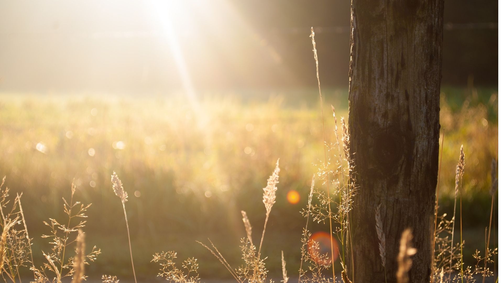 Surrendering Stress, Receiving Grace