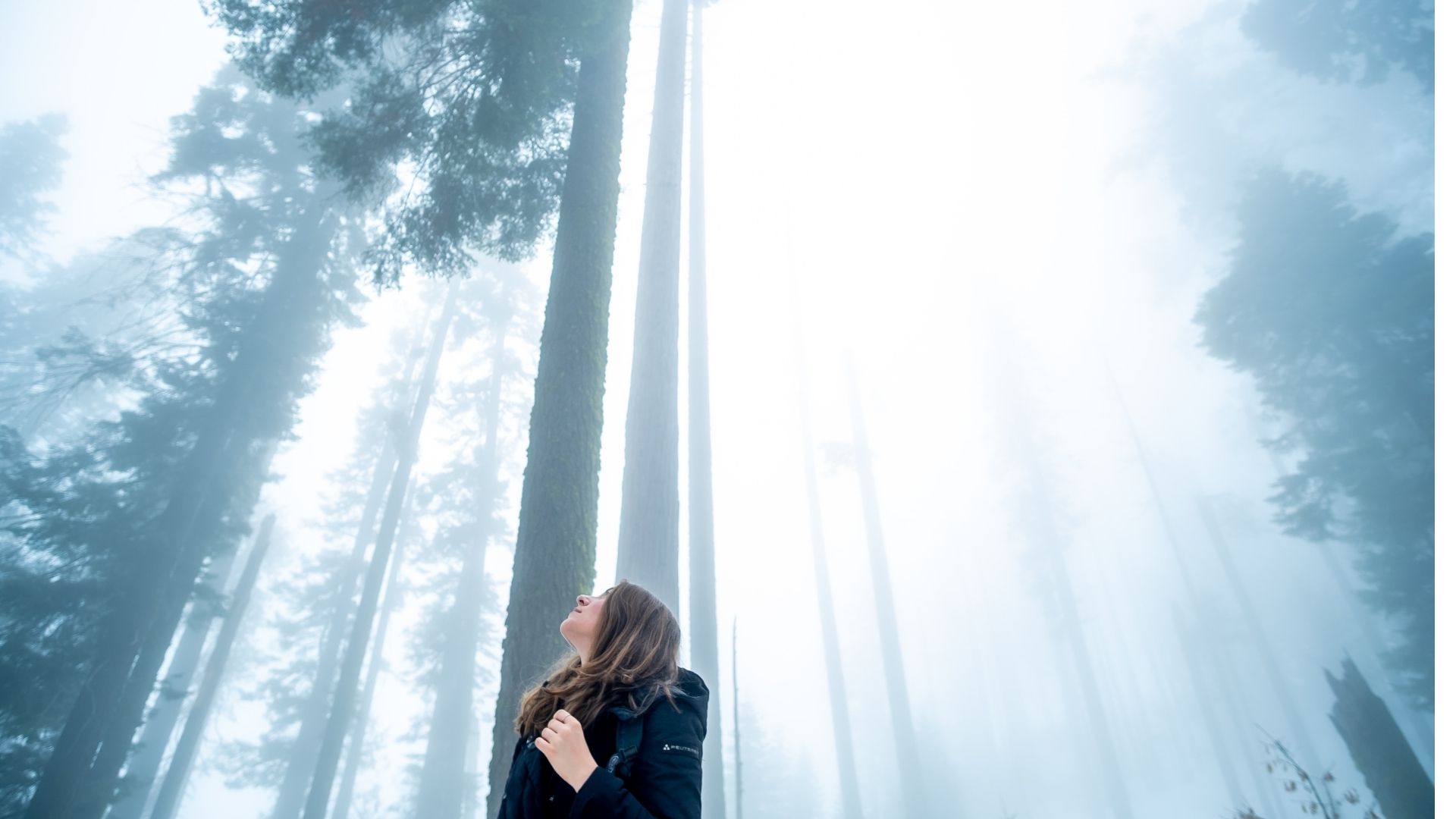 Honoring God With Your Mind and Body