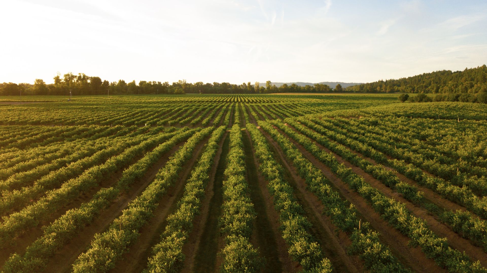 3 Truths About Sowing and Reaping