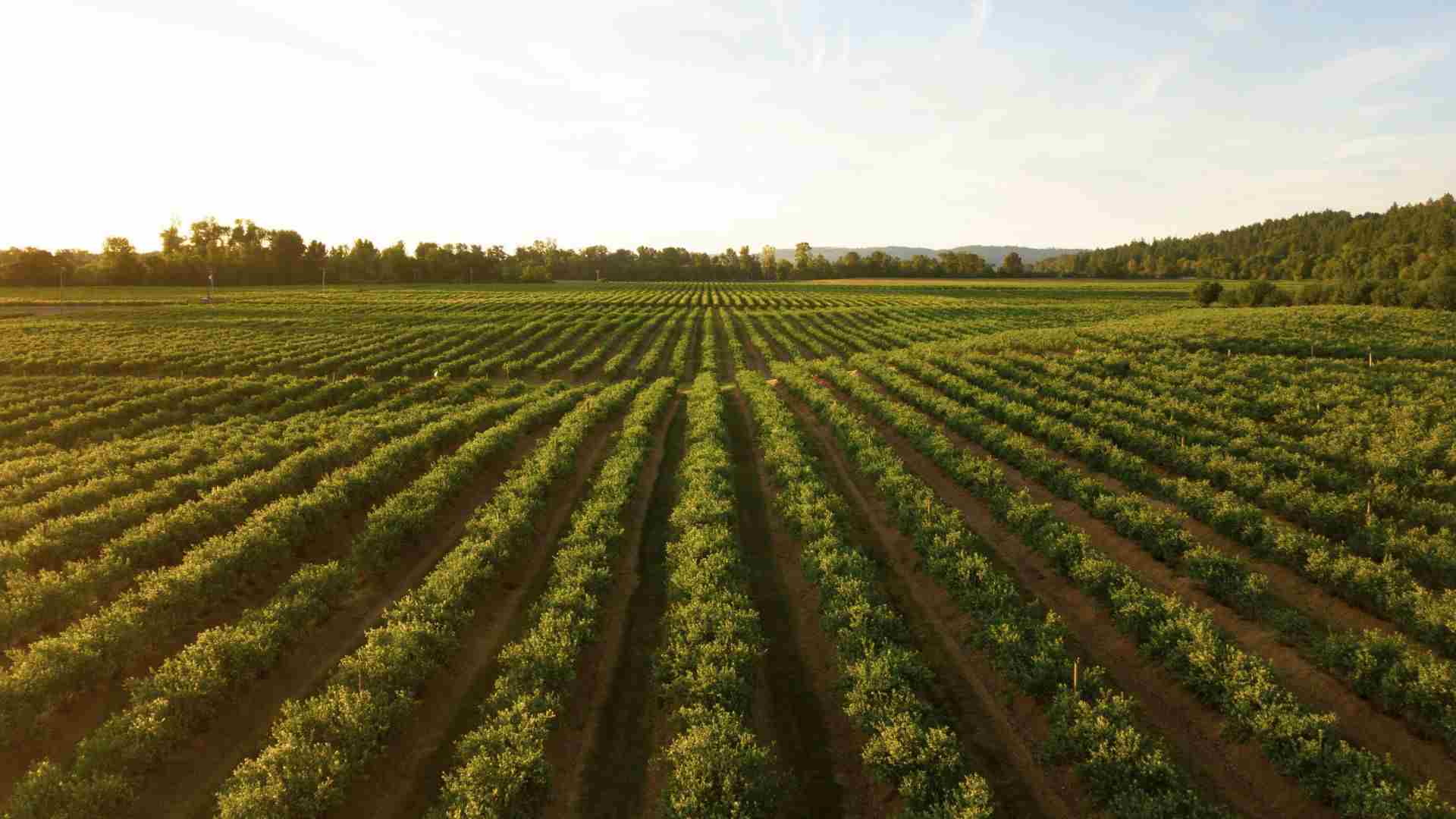 3 Truths About Sowing and Reaping