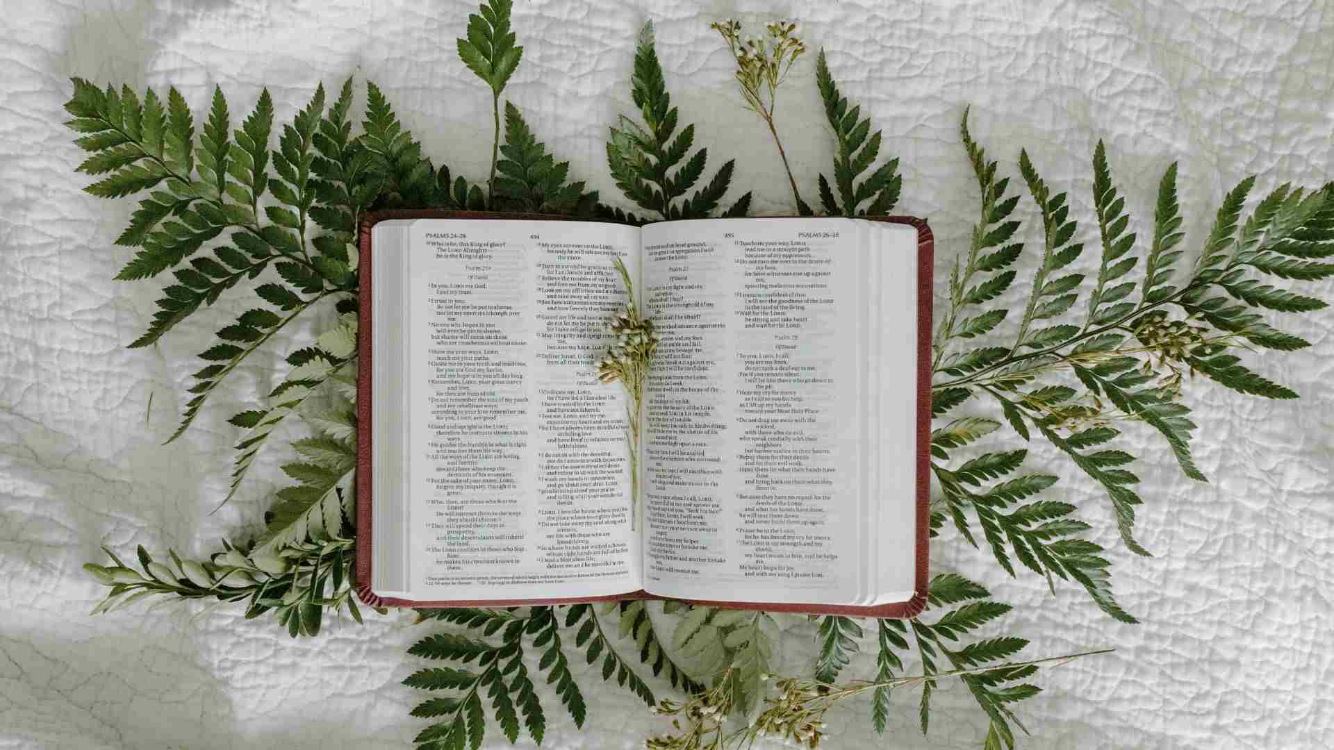 10 Verses About Your Inheritance in Christ
