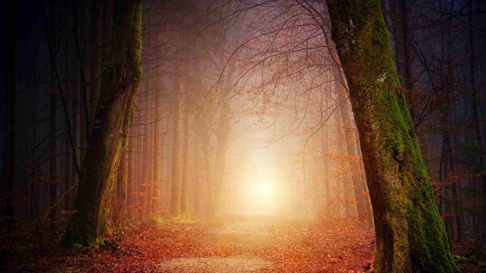 Who Did Jesus Claim to Be?