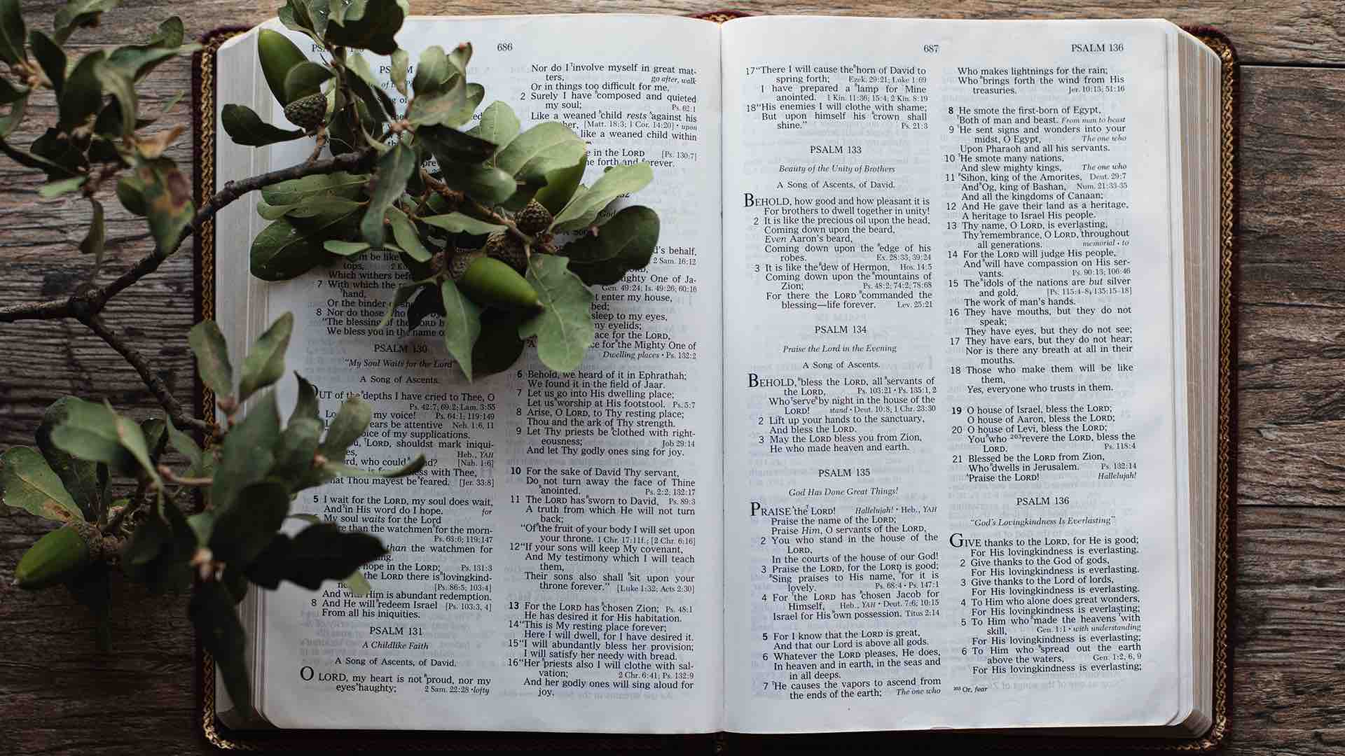 The Promise of the Holy Spirit