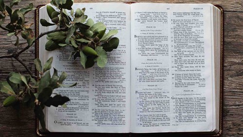 Author Article - The Promise of the Holy Spirit