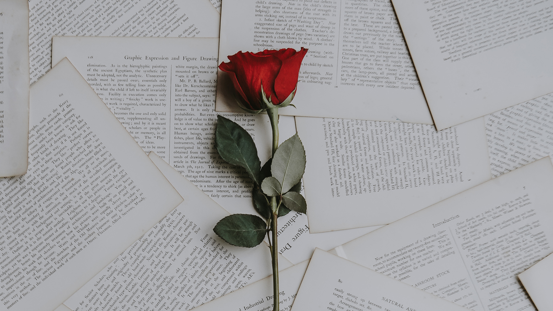 Celebrating in This Season