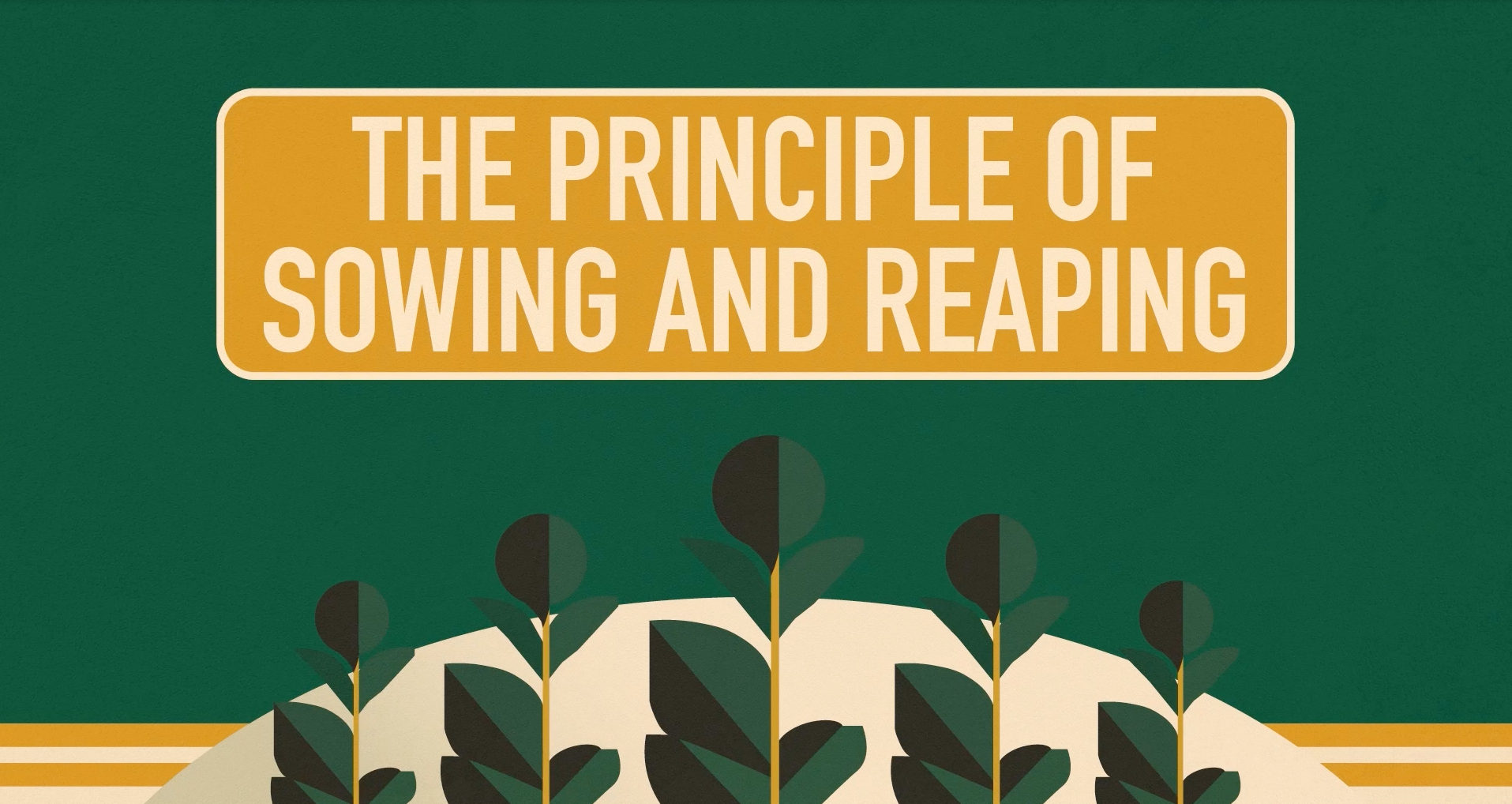 The Principle of Sowing & Reaping