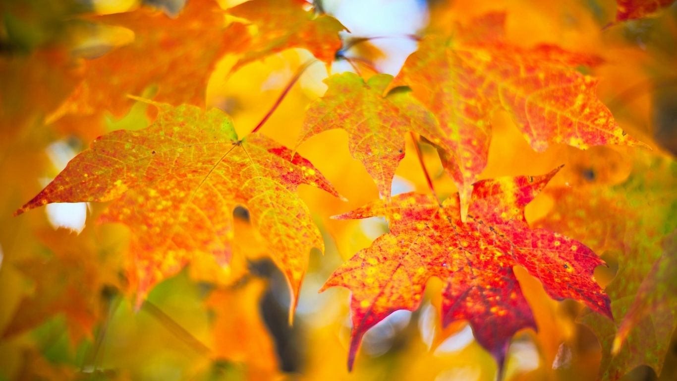 Fall Into September Fun