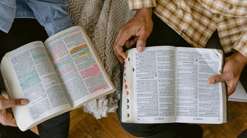 Author Article - How to Read the Bible