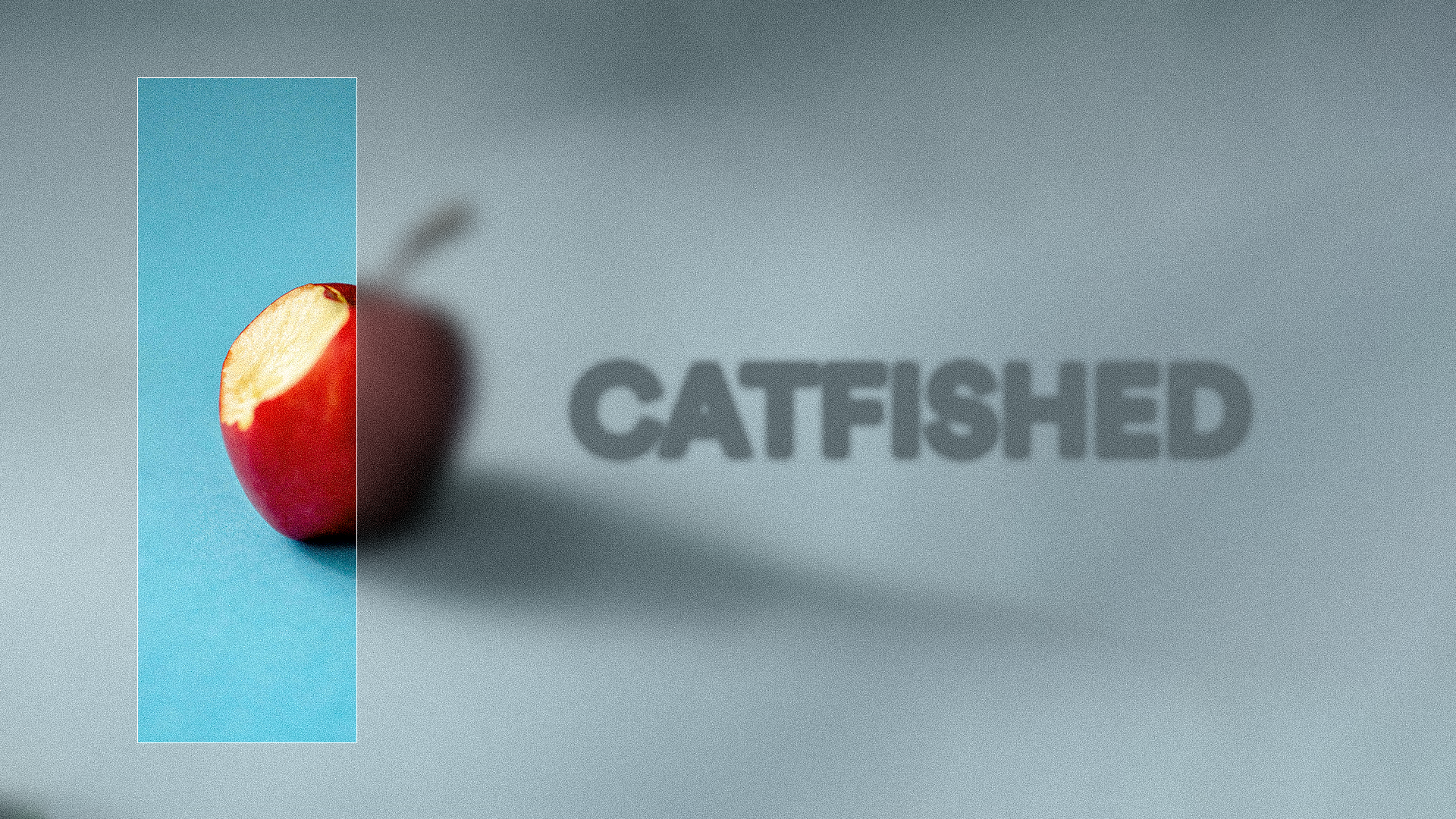 CFStudents Group Guide | Catfished