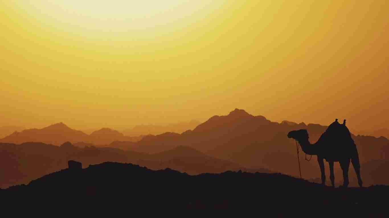 How Well Do You Know the Life of Joseph?