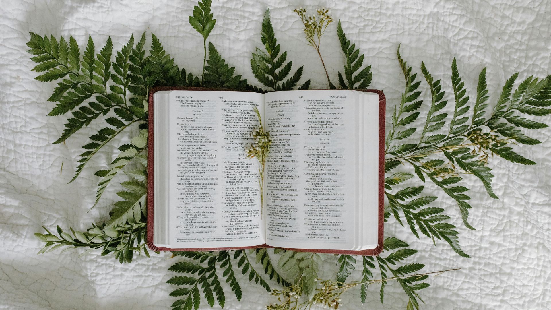 10 Verses About Your Inheritance in Christ | Christ Fellowship Church